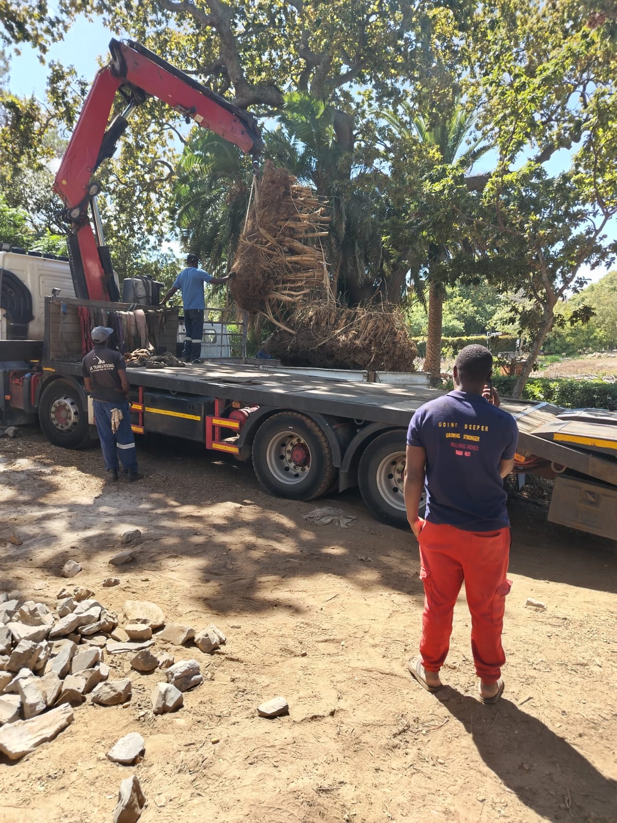 Complete Stump Removal