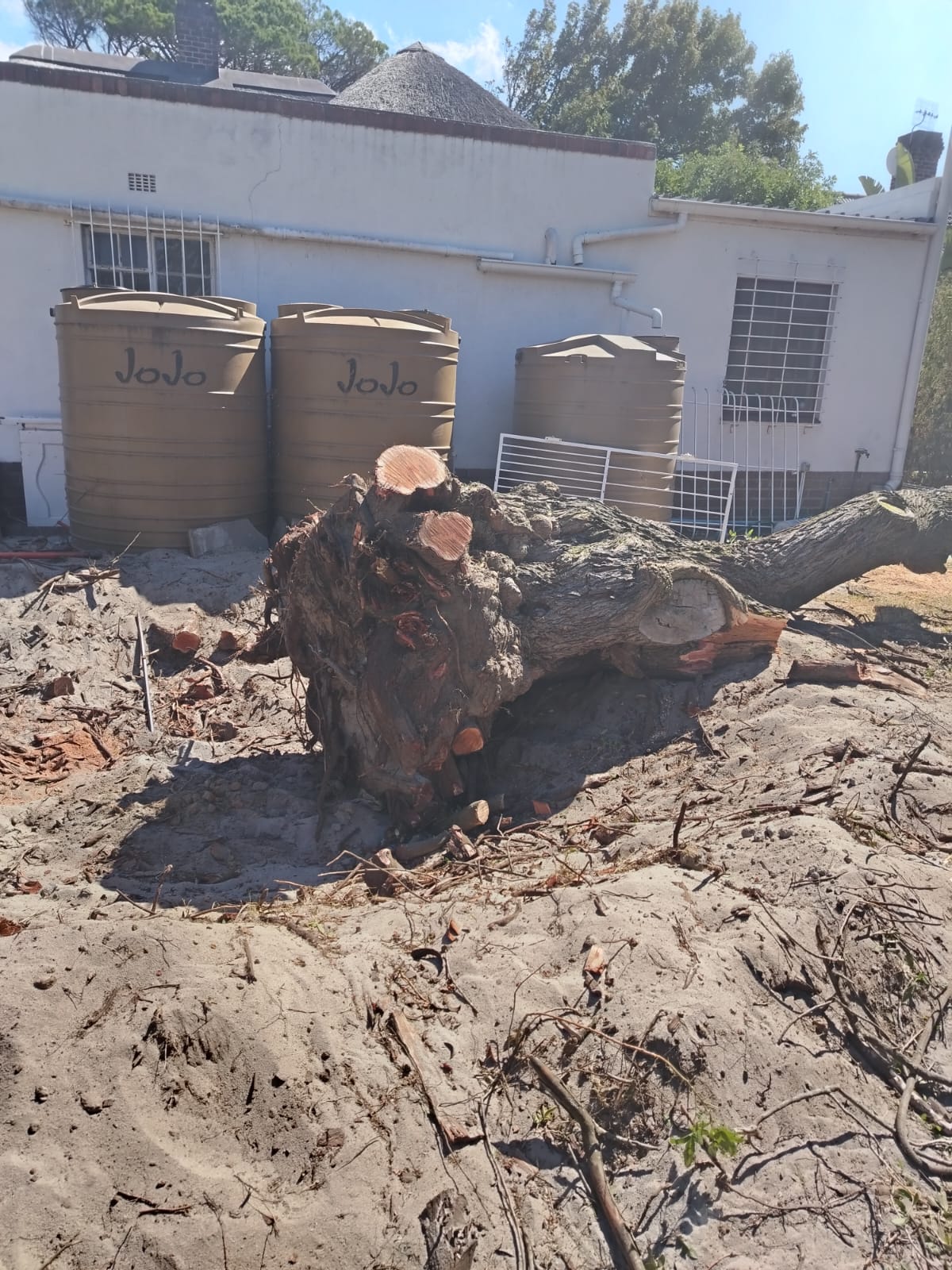 Emergency Tree Removal