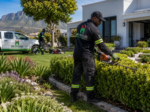Landscaping and Garden Services Cape Town