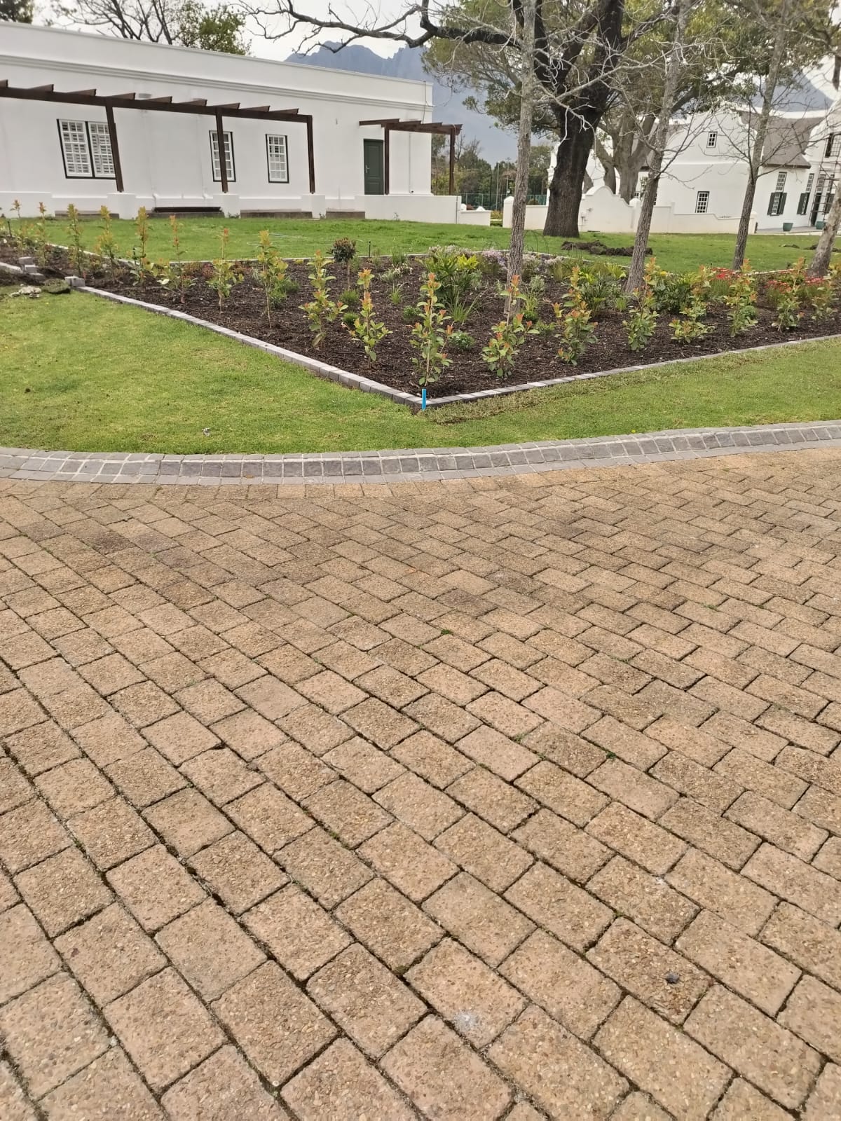 Landscaping & Gardening