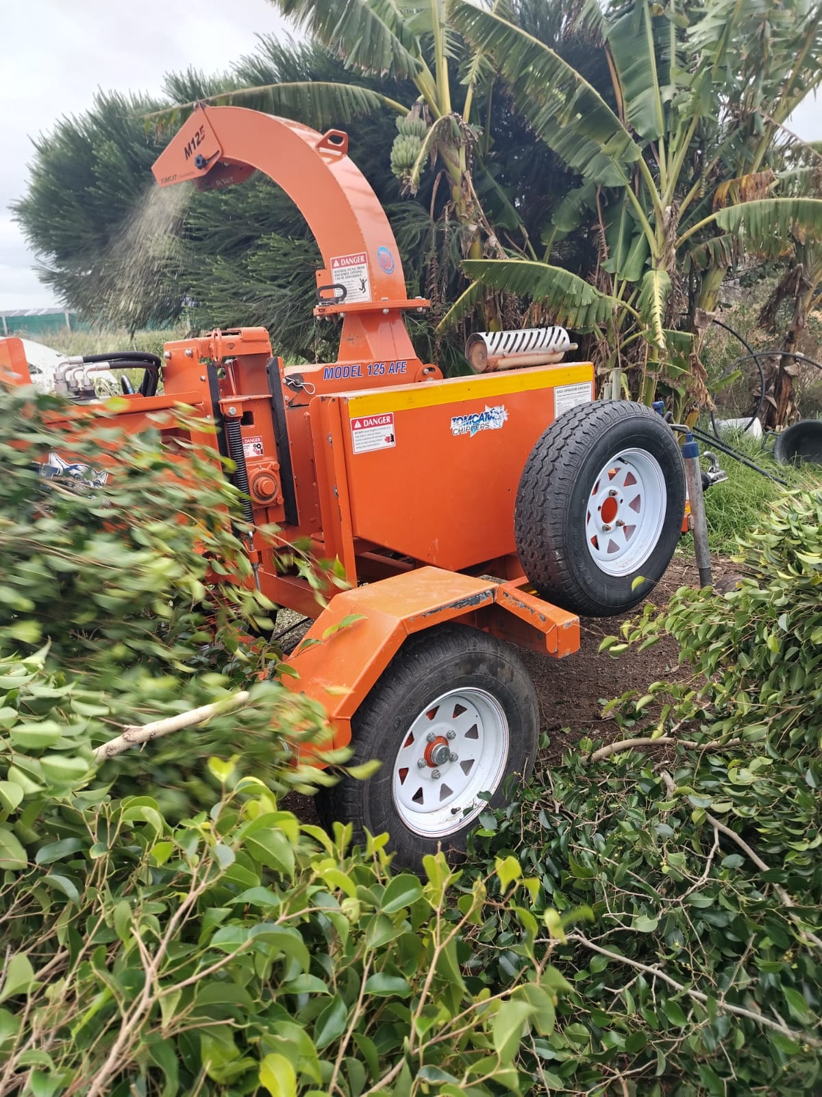 Plot Clearance