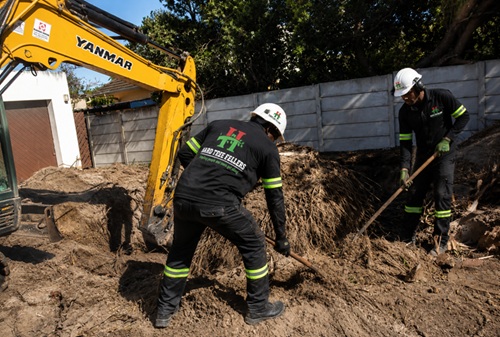 Stump Grinding & Removal - Hard Tree Fellers