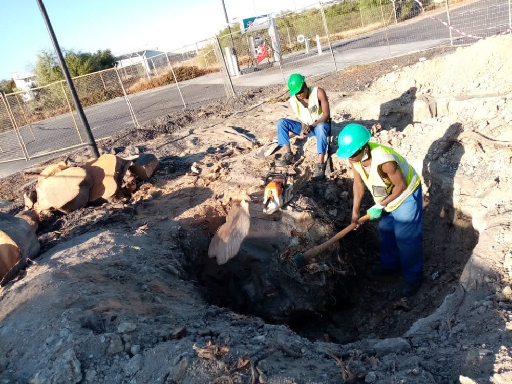 Stump Removal Brackenfell
