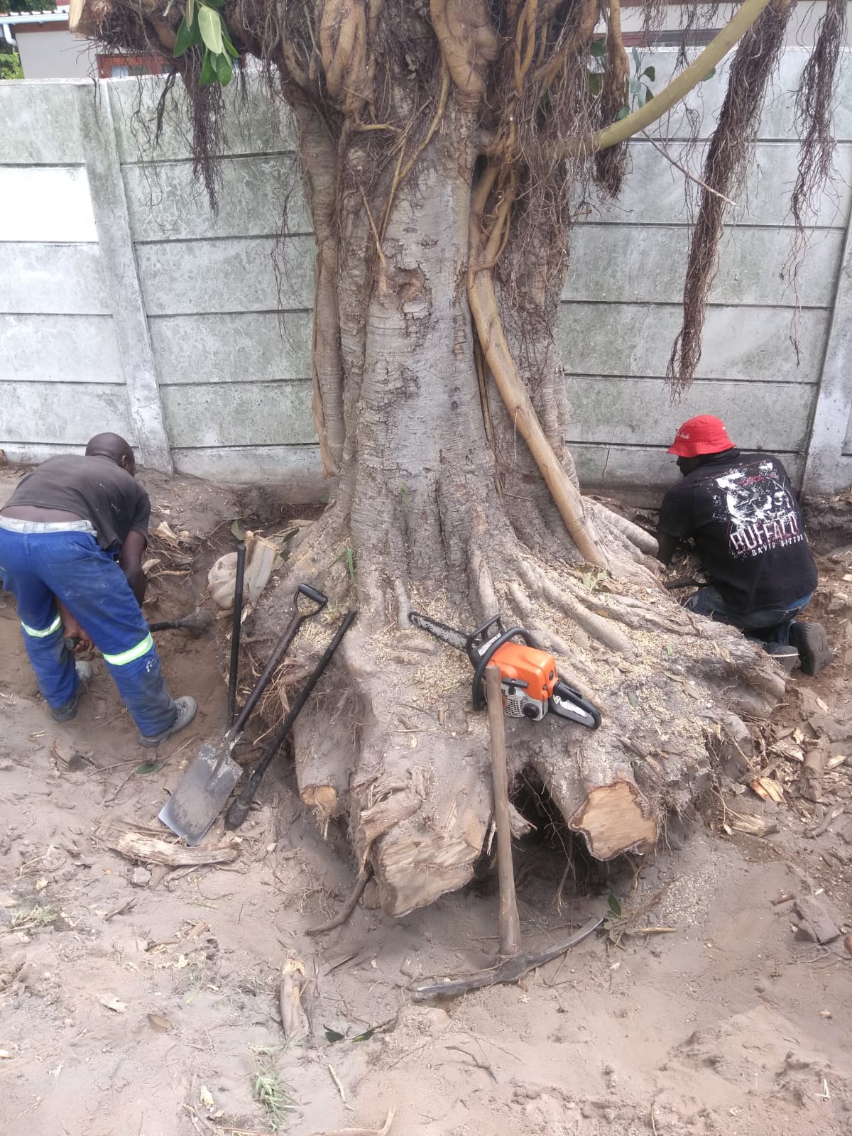Stump Removal Richwood